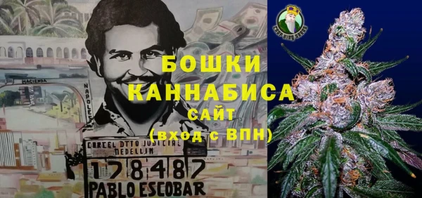 мдпв Верея