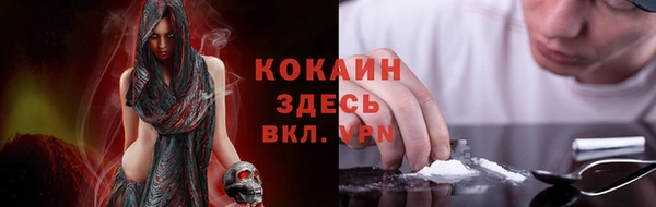 мдпв Верея