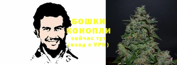 мдпв Верея