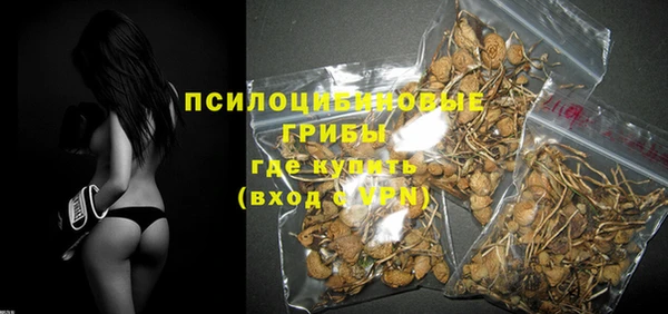 мдпв Верея