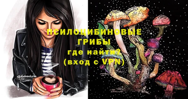 мдпв Верея